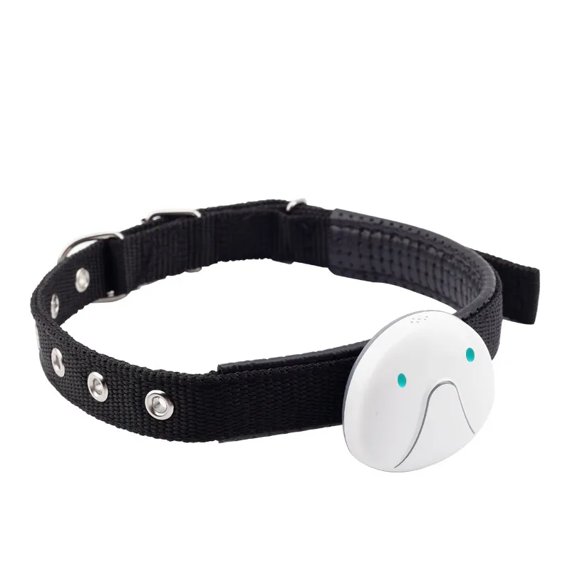 Collier De Chien Avec Traceur Gps - Facile À Attacher Et Fiable – Image 6