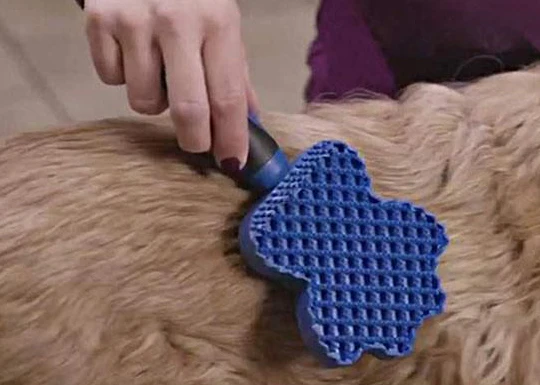 Brosse pour Chien Multifonctionnelle en Silicone avec Fonction de Massage pour un Toilettage en Douceur – Image 3