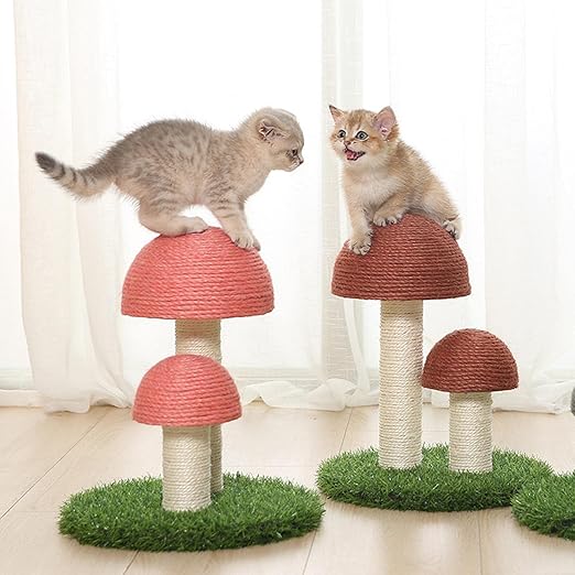 Arbre À Chat Champignon En Sisal