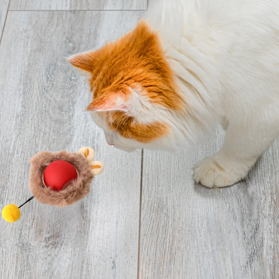 Balle De Jeu Interactive Avec Fourrure Pour Chats