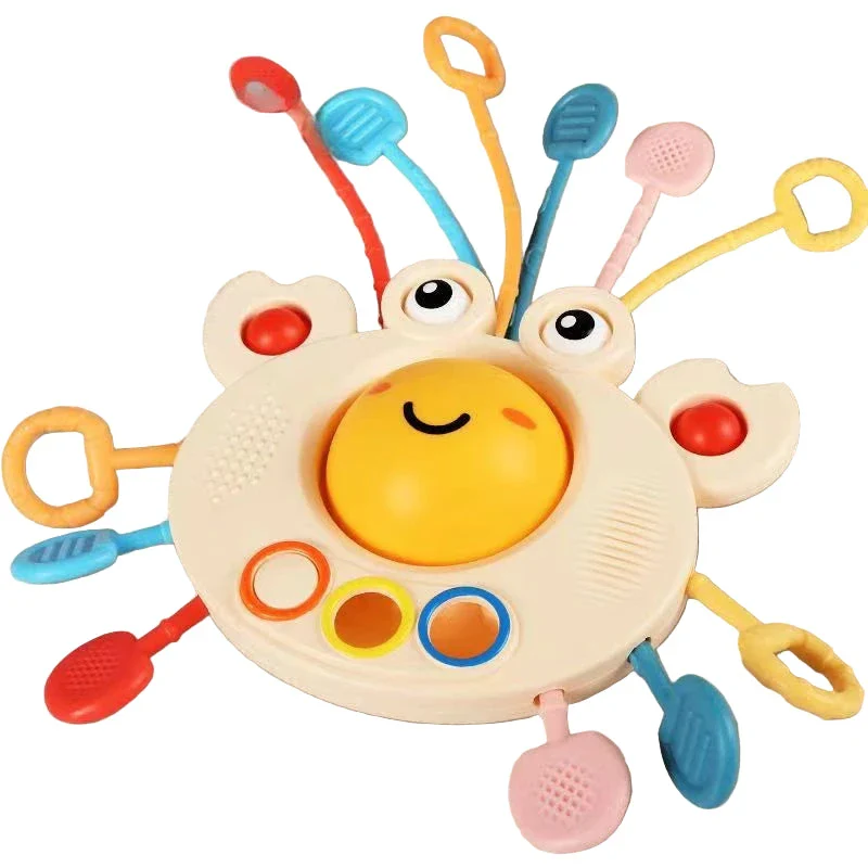 Mon crabe d'apprentissage – Image 5