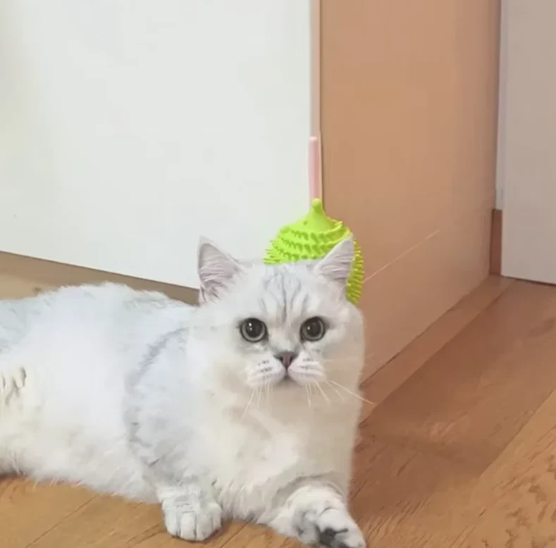 Jouet en Silicone pour Chats en Forme D' Ovni Rempli D' Herbe à Chat