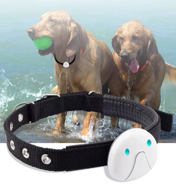 Collier De Chien Avec Traceur Gps - Facile À Attacher Et Fiable – Image 2
