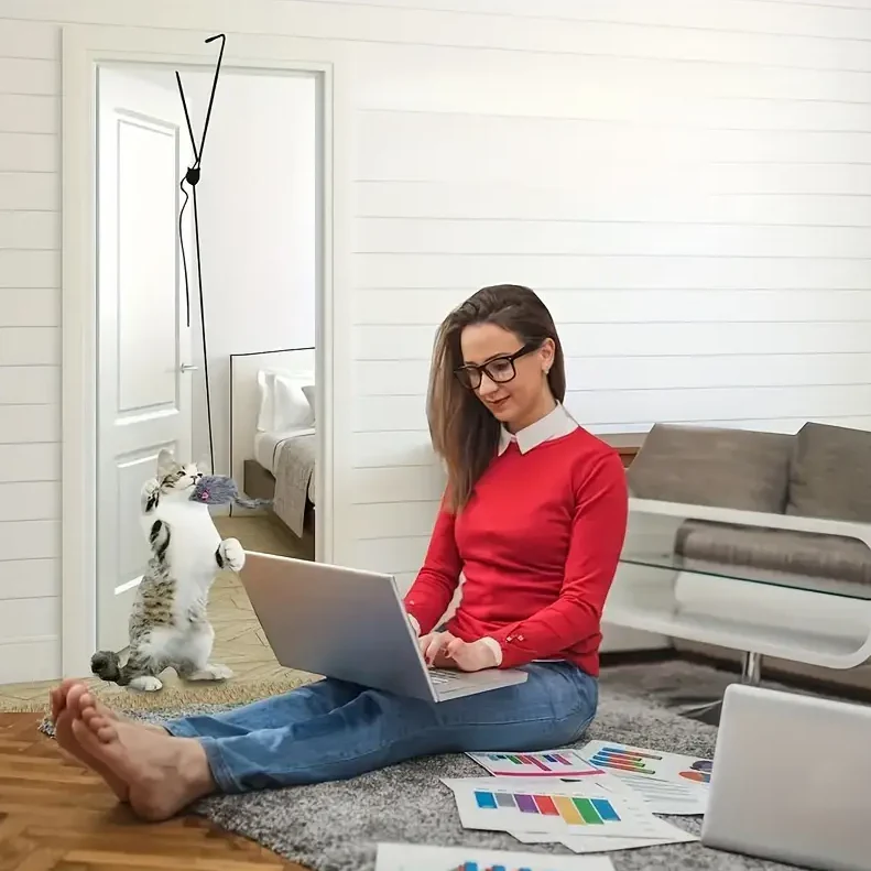 Jouets Interactifs Pour Chats - Jouet Souris Avec Cordon À Tirer – Image 2