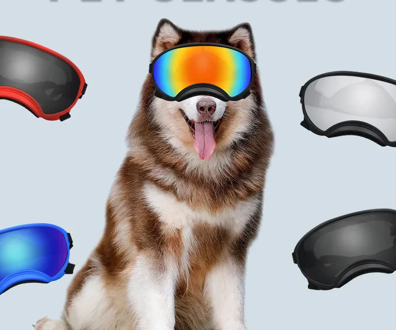 Lunettes De Protection Pour Chiens - Lunettes Stylées Pour Animaux De Compagnie Avec Protection UV En Différentes Couleurs