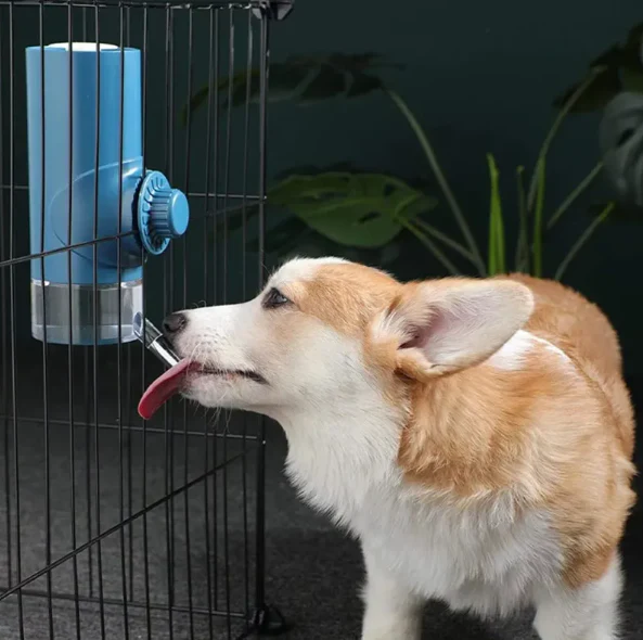 Bouteille de 500ml pour Animaux de Compagnie - Distributeur D' Eau Automatique
