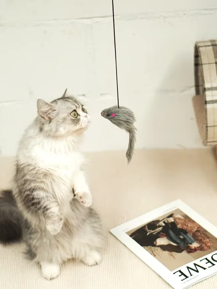 Jouet de Porte Interactif - Souris qui Saute pour les Chats Actifs – Image 4