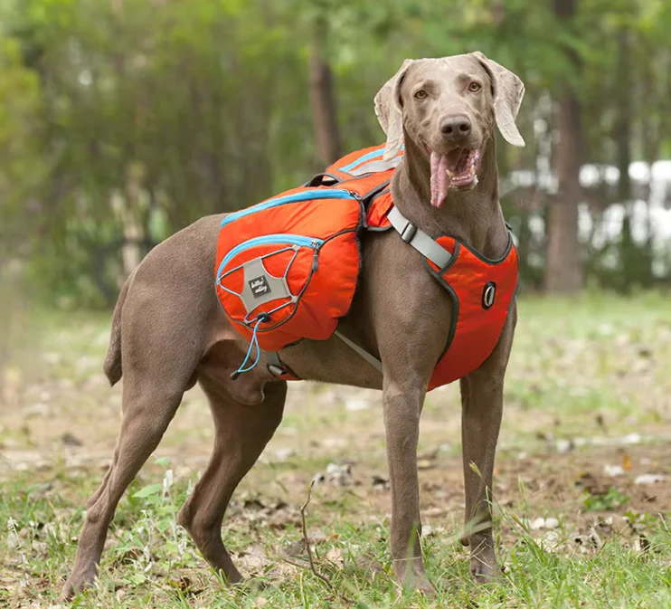 Sac À Dos De Randonnée Pour Chiens Avec Poches Étanches - Civière Portable Pour Chiens Pour Les Activités De Plein Air – Image 4