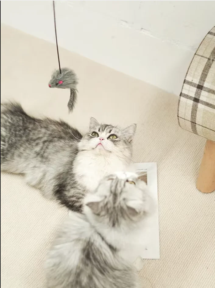 Jouet de Porte Interactif - Souris qui Saute pour les Chats Actifs – Image 5