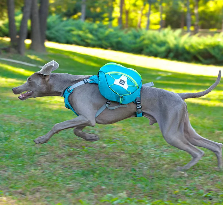Sac À Dos De Randonnée Pour Chiens Avec Poches Étanches - Civière Portable Pour Chiens Pour Les Activités De Plein Air – Image 3