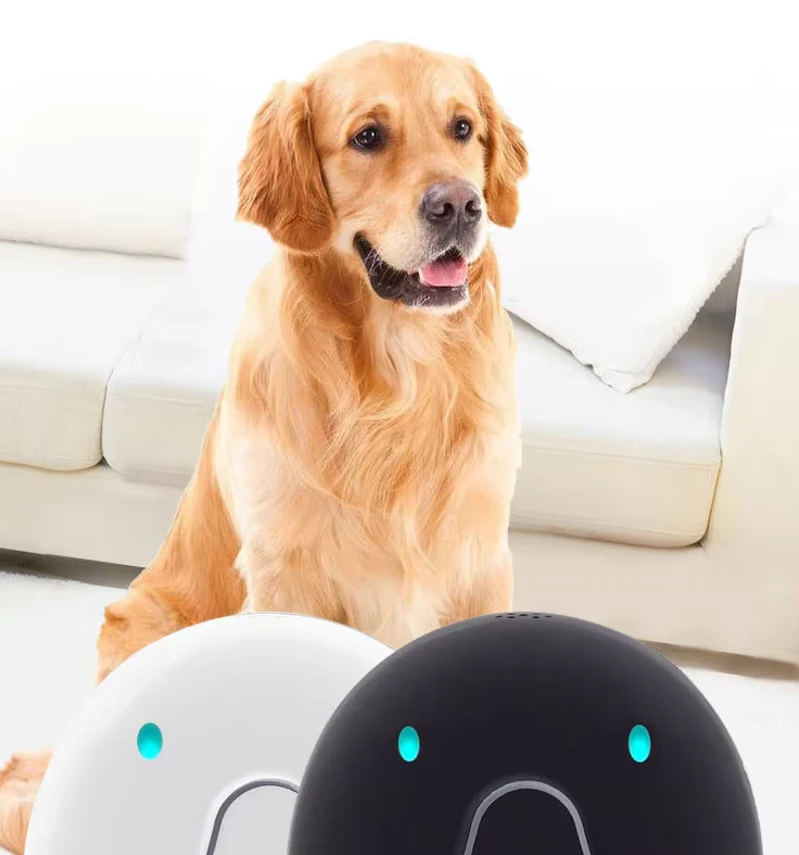 Collier De Chien Avec Traceur Gps - Facile À Attacher Et Fiable – Image 3