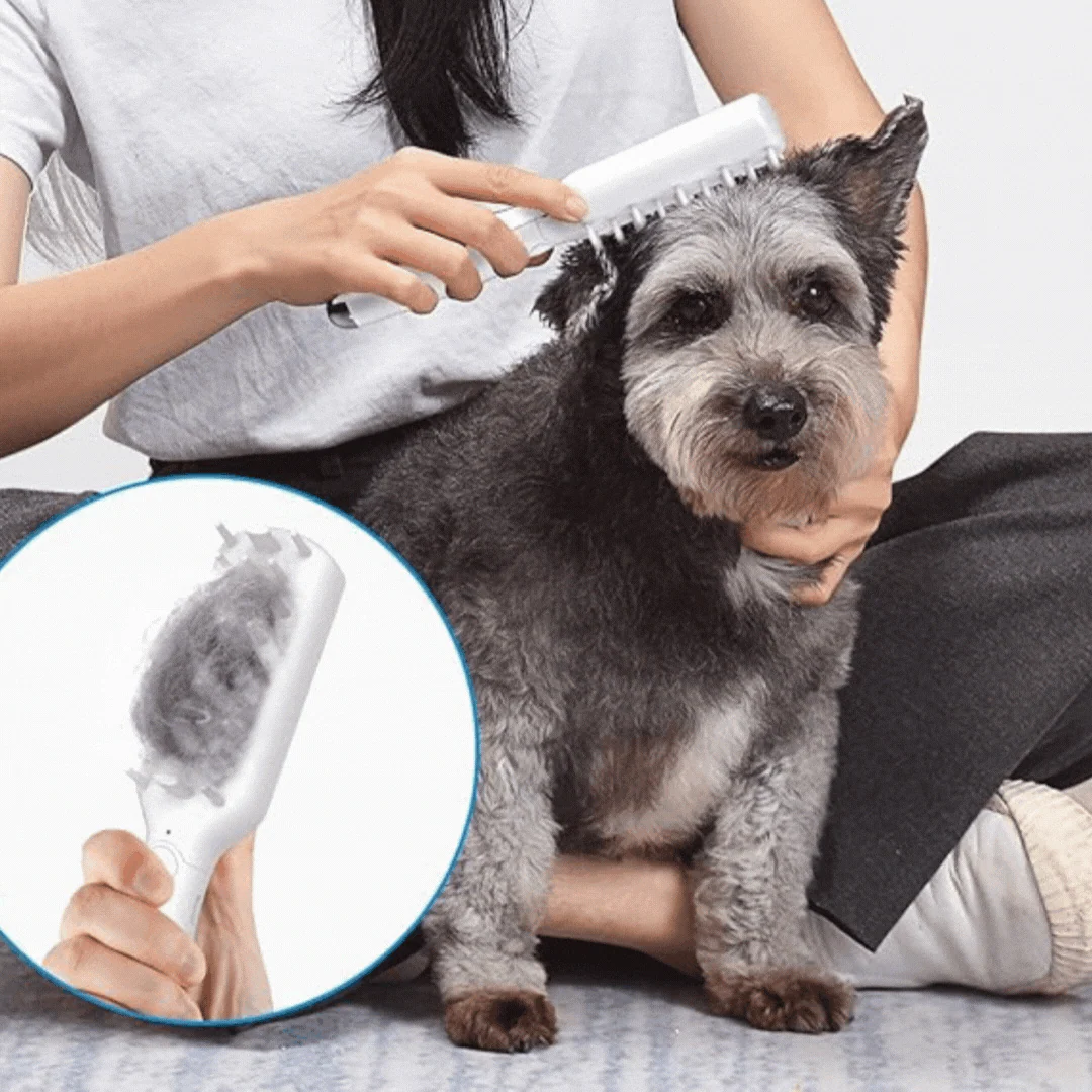 Brosse De Massage Électrique Pour Animaux – Image 2