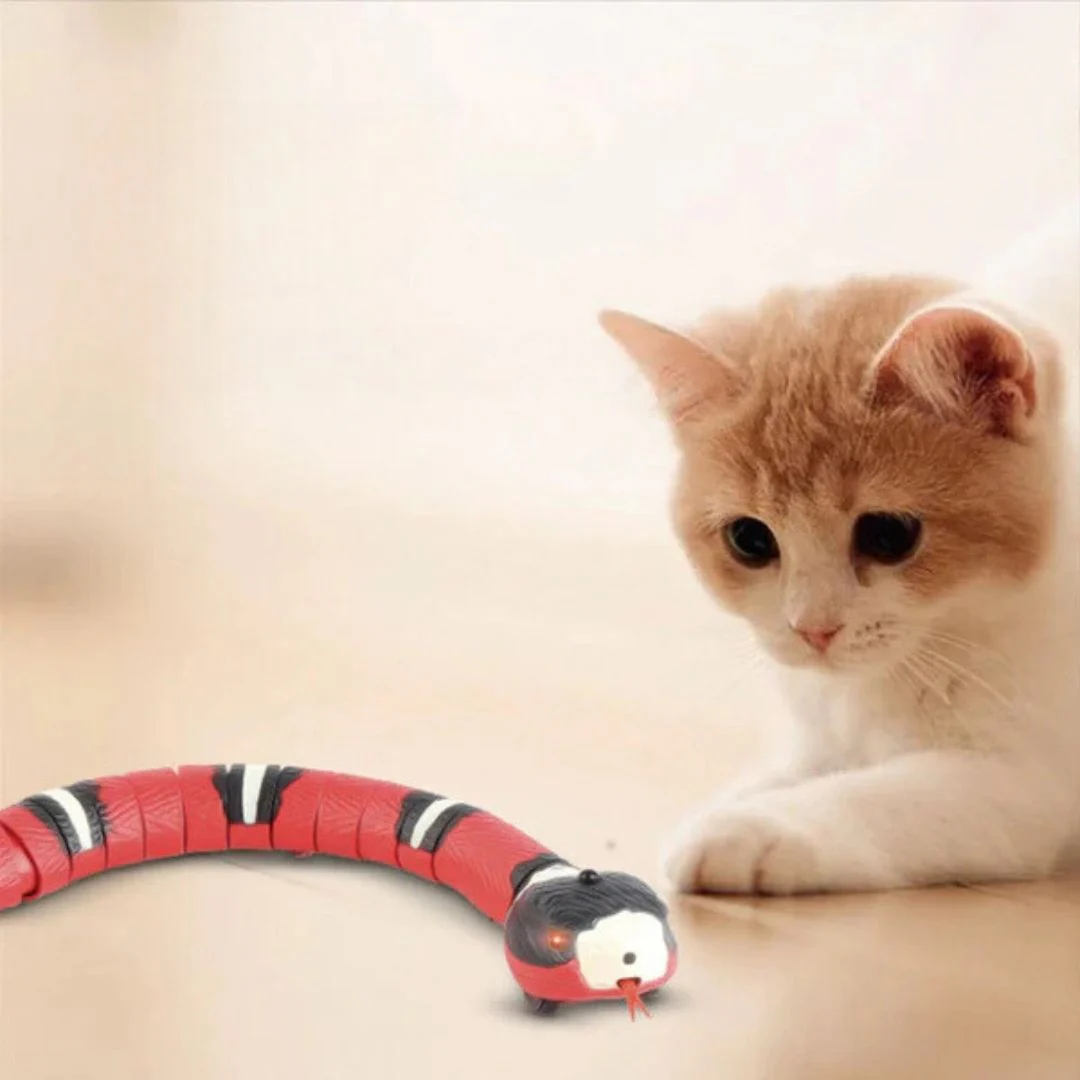 Snakey - Jouet Interactif Pour Chats – Image 5